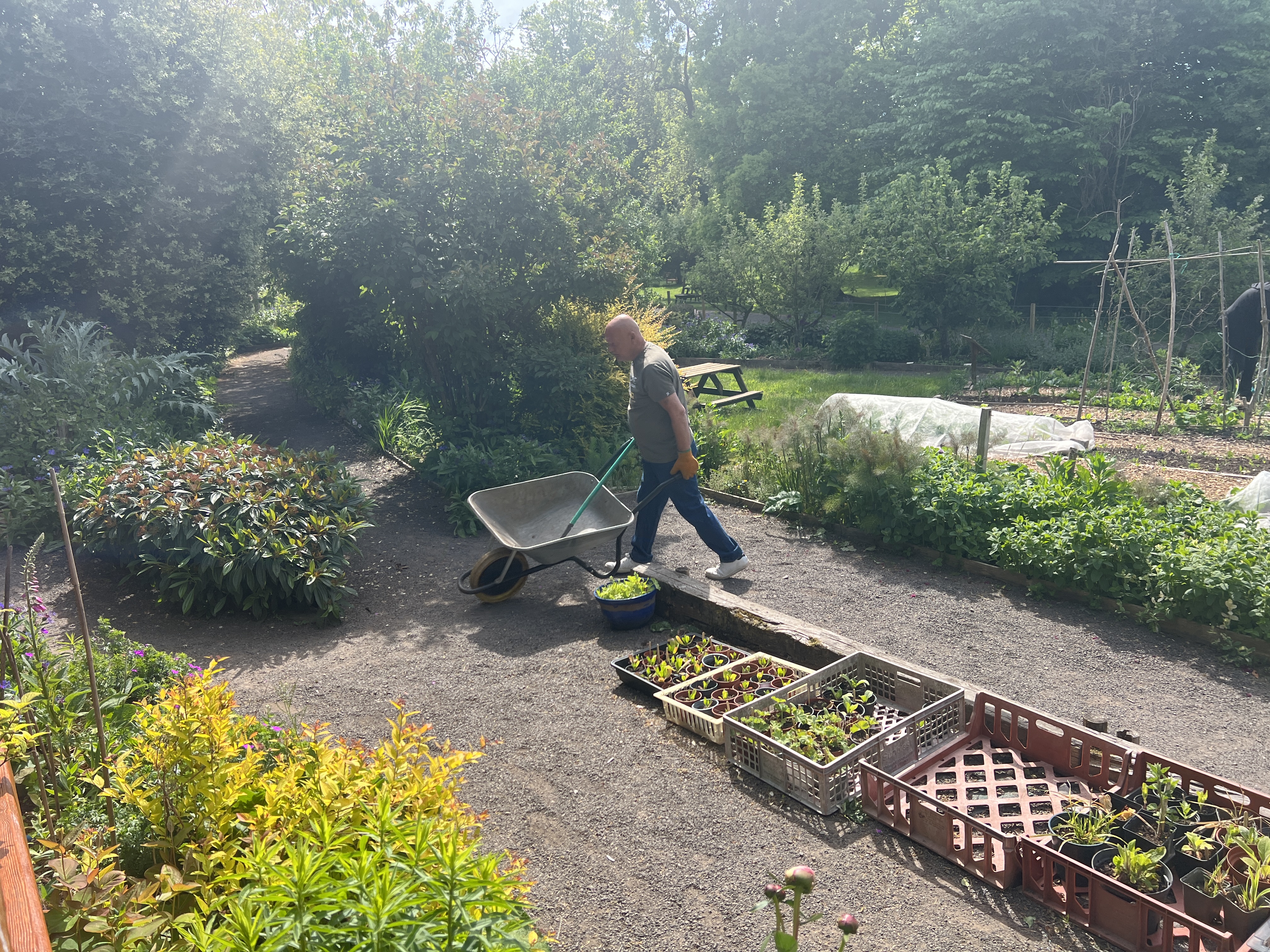 Nature art prints on wall